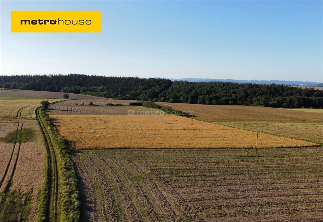 Działka inna na sprzedaż Stara Łomnica  5 000m2 Foto 1