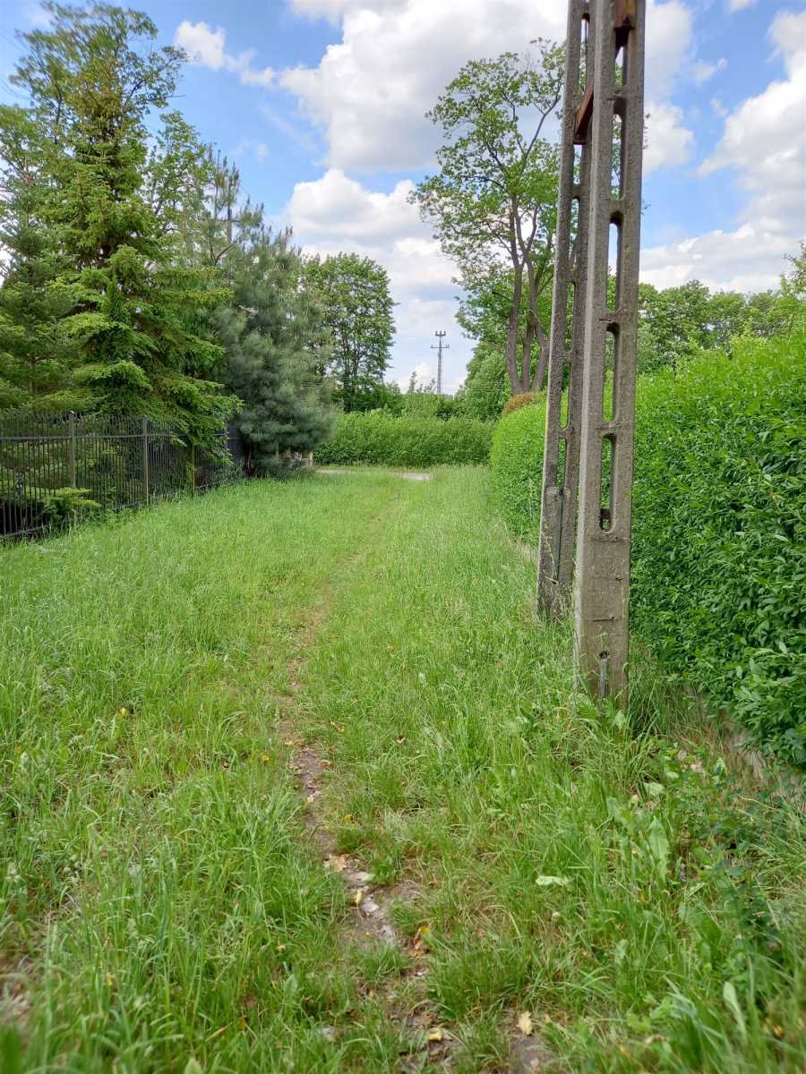 Działka budowlana na sprzedaż Chwaliszów, Chwaliszów  52 000m2 Foto 3