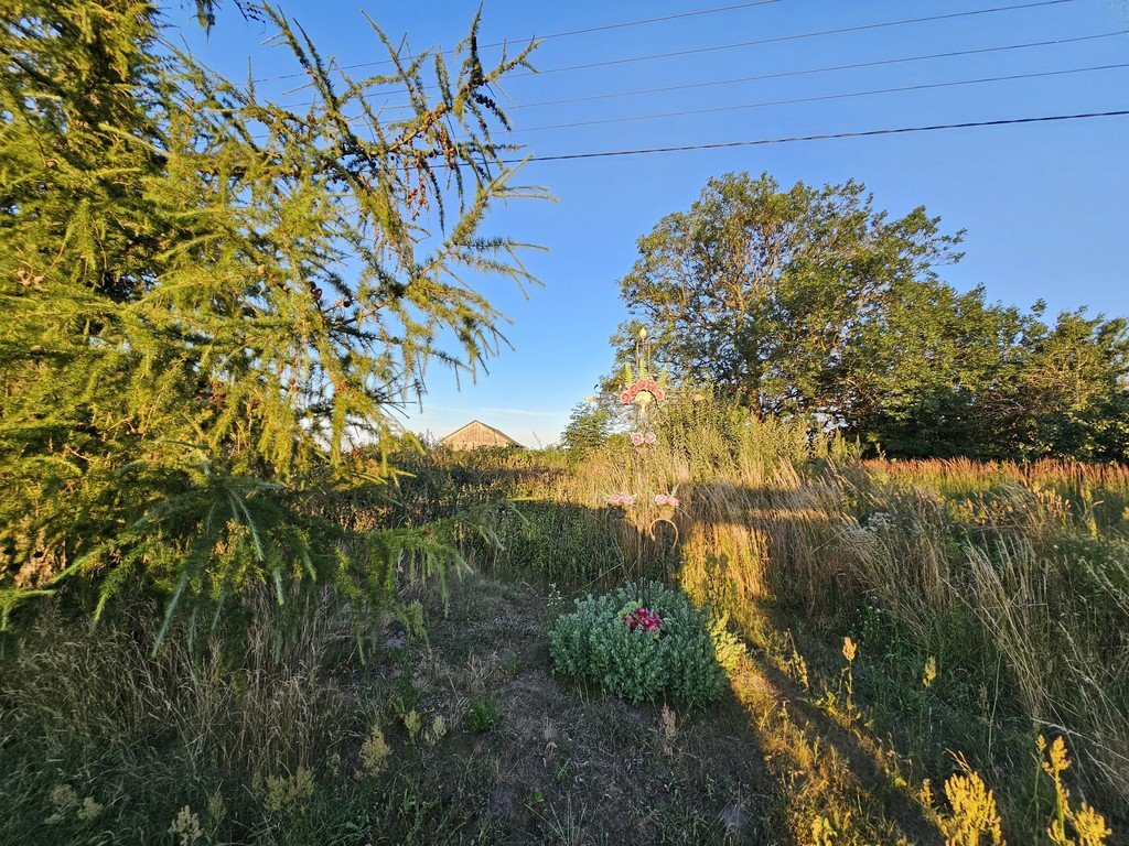 Działka budowlana na sprzedaż Starościn  9 153m2 Foto 5