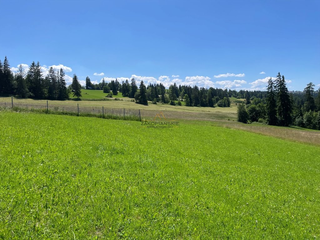 Działka inna na sprzedaż Biały Dunajec  3 000m2 Foto 4