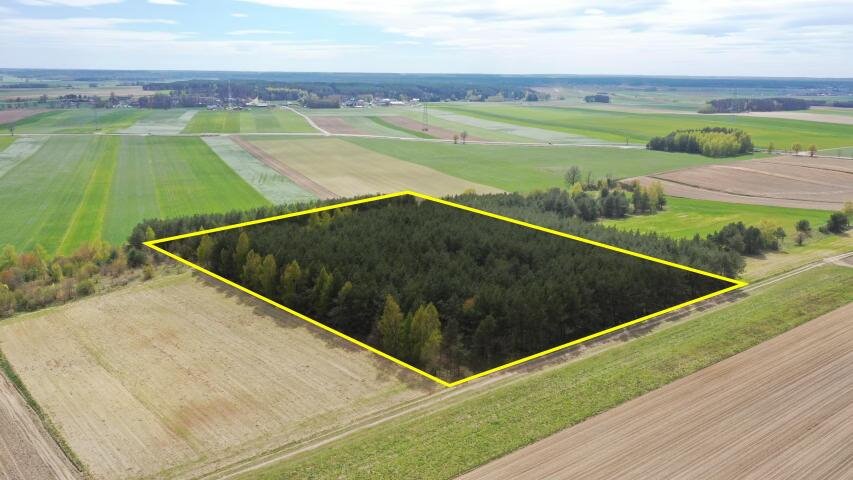 Działka leśna 2,2 ha z sosną, inwestycja lub gospodarstwo Pniewo  22 260m2 Foto 1