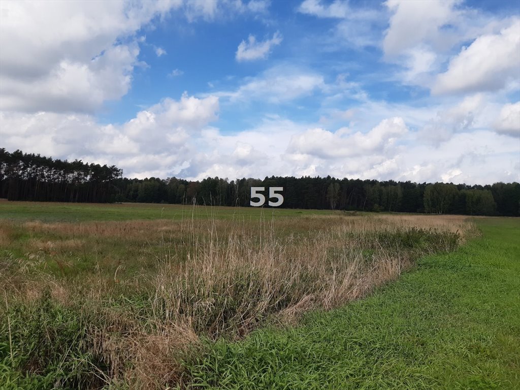 Działka rekreacyjna na sprzedaż Barycz  4 665m2 Foto 6