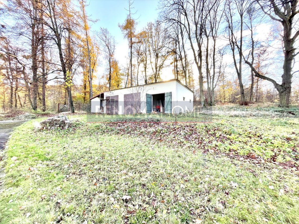 Lokal użytkowy na sprzedaż Sobótka, Armii Krajowej  541m2 Foto 16