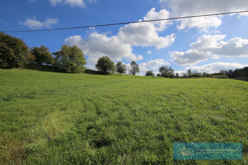 Działka budowlana na sprzedaż Rzeszów  2 800m2 Foto 3