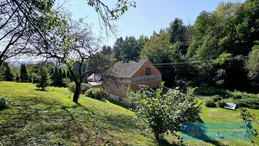 Działka budowlana na sprzedaż Glinik Zaborowski  6 000m2 Foto 6