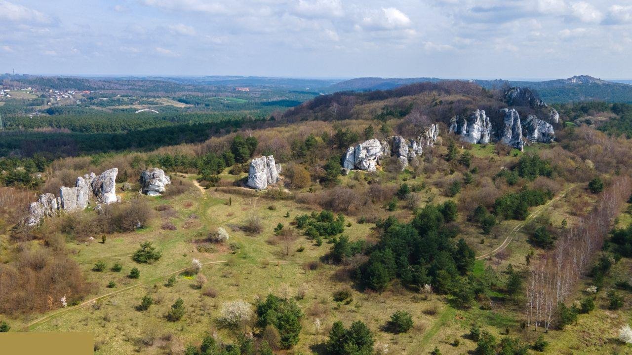 Działka budowlana na sprzedaż Rzędkowice, Polna  700m2 Foto 1