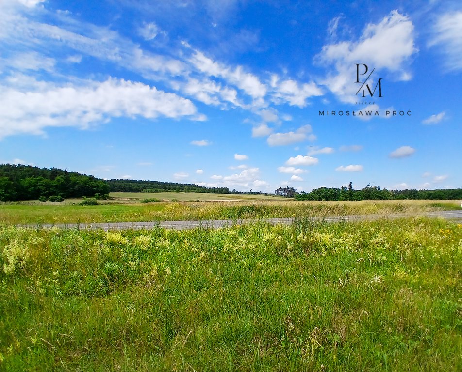 Działka budowlana na sprzedaż Baszyn  2 700m2 Foto 1