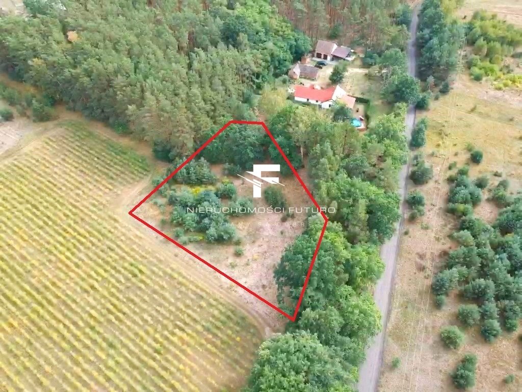 Działka rolna na sprzedaż Sierczynek  3 200m2 Foto 3