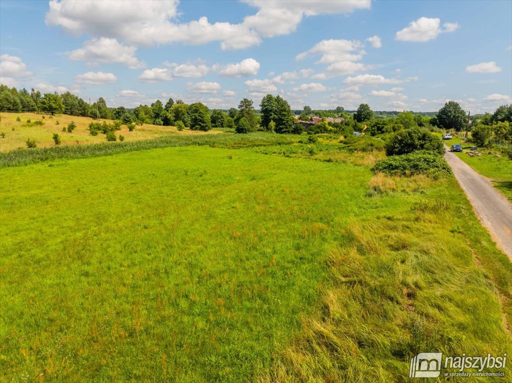 Działka rolna na sprzedaż Chojna  23 200m2 Foto 11