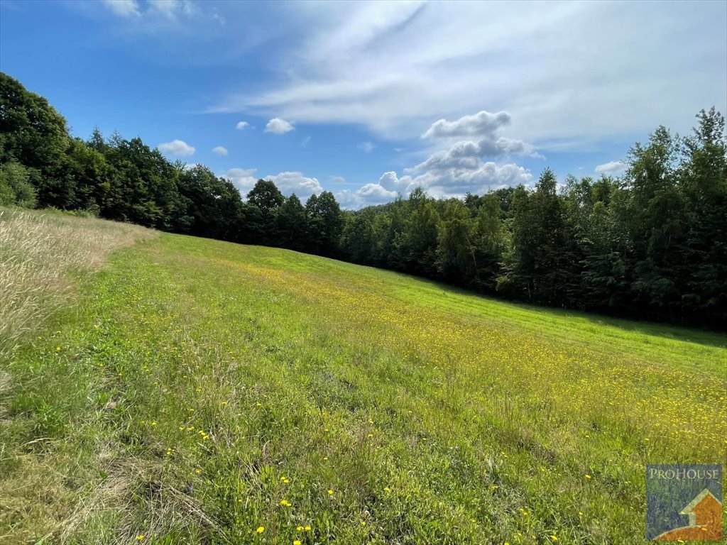 Działka inna na sprzedaż Stare Rybie  5 600m2 Foto 4