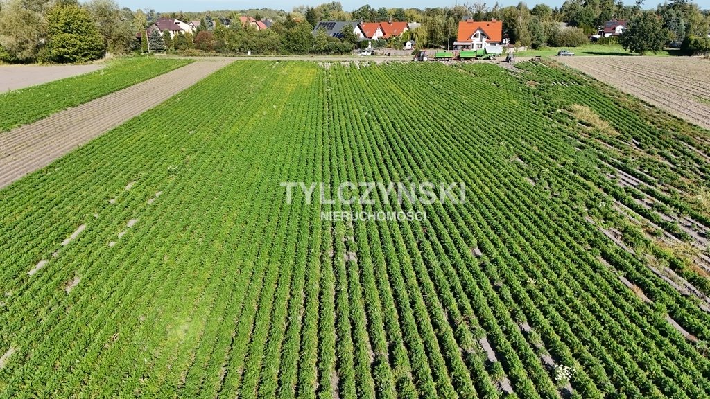 Działka budowlana na sprzedaż Bieniewice  21 651m2 Foto 6