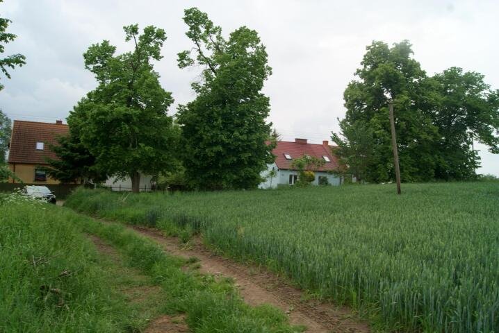 Działka budowlana na sprzedaż Woźnice  1 285m2 Foto 6