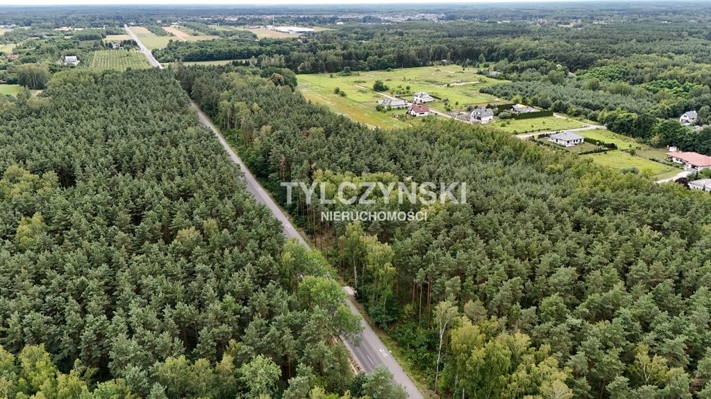 Działka budowlana na sprzedaż Żółwin  127 200m2 Foto 5