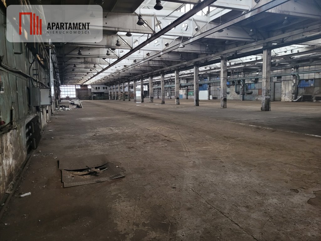 Lokal użytkowy na wynajem Grudziądz  500m2 Foto 3