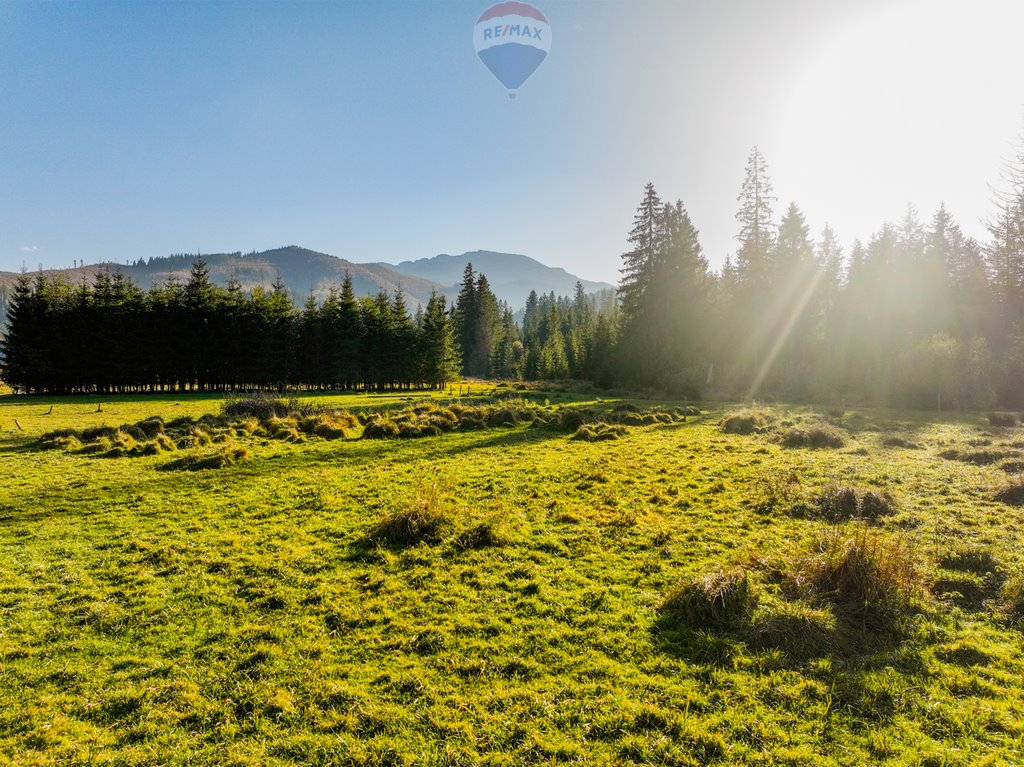 Działka rolna na sprzedaż Witów  385m2 Foto 12