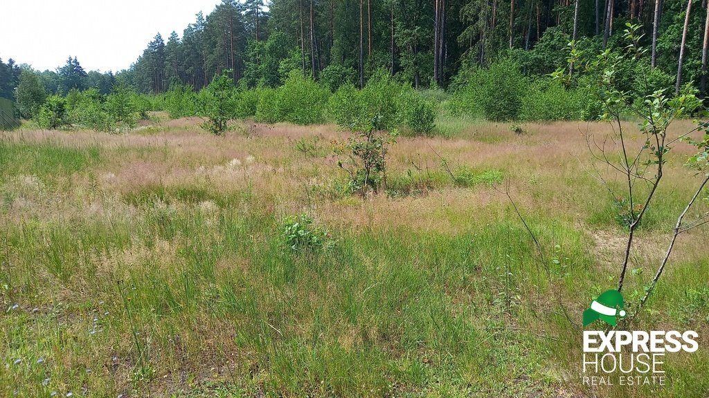 Działka budowlana na sprzedaż Niewodnica Korycka  826m2 Foto 1