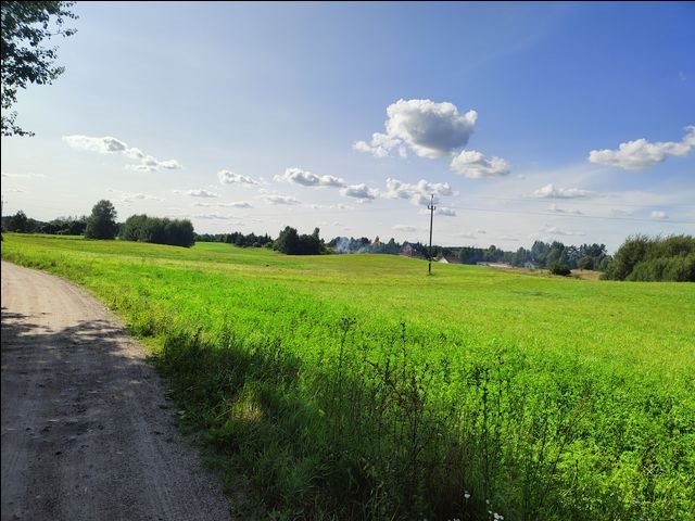 Działka rolna na sprzedaż Wołowno  9 900m2 Foto 5