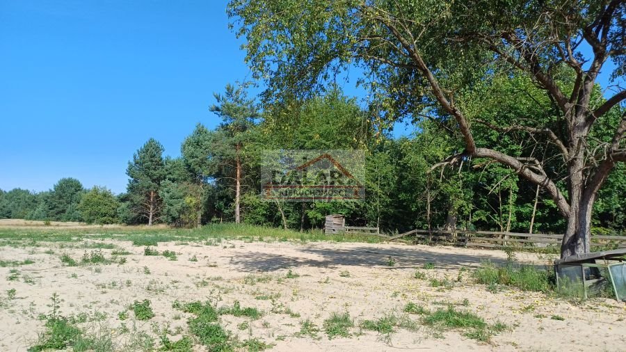 Działka budowlana na sprzedaż Grabów nad Pilicą, Lipinki  1 200m2 Foto 3