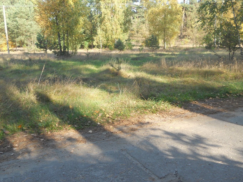 Działka budowlana na sprzedaż Zimny Zdrój  11 500m2 Foto 1