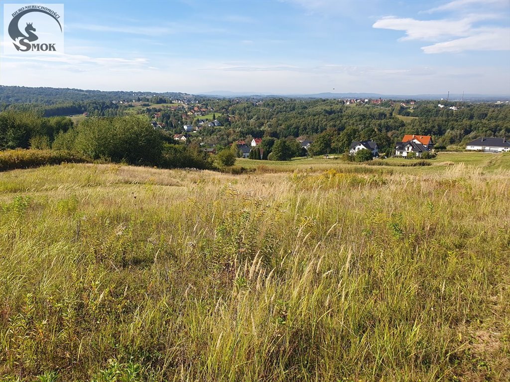 Działka rolna na sprzedaż Brzyczyna  3 500m2 Foto 3