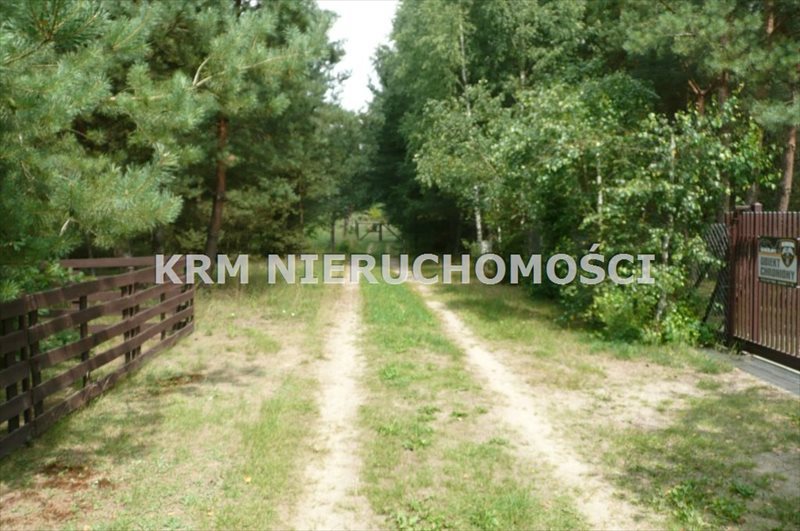 Działka rekreacyjna na sprzedaż BORY TUCHOLSKIE, LIPY, gm. STARA KISZEWA 2 024m2 Foto 1 Działka rekreacyjna na sprzedaż BORY TUCHOLSKIE, LIPY, gm. STARA KISZEWA 2 024m2 Foto 1