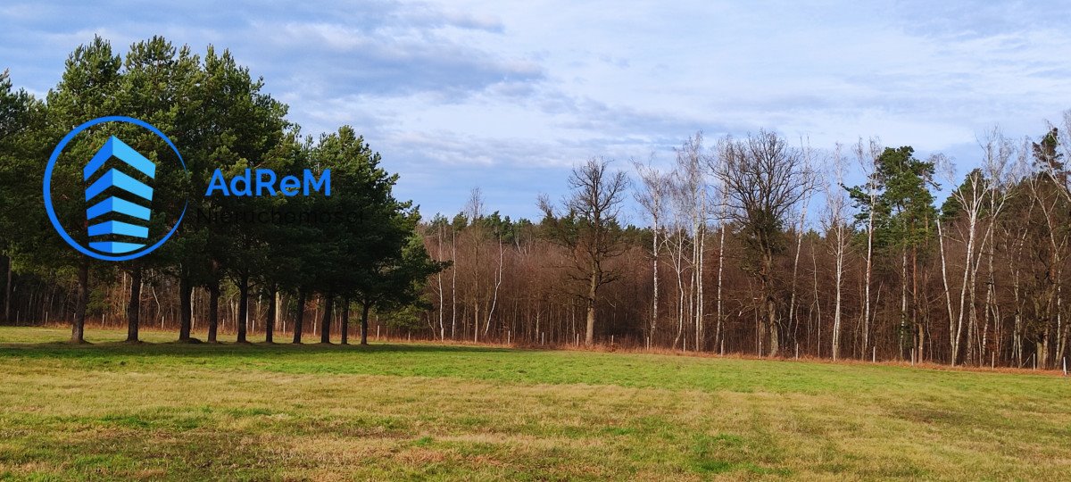 Działka rolna 3000 m² w Piskórce z planem zagospodarowania Piskórka  3 000m2 Foto 1