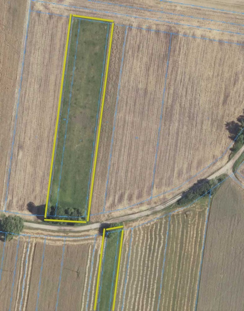 Działka rolna na sprzedaż Janów Podlaski, Janów Podlaski  3 790m2 Foto 1