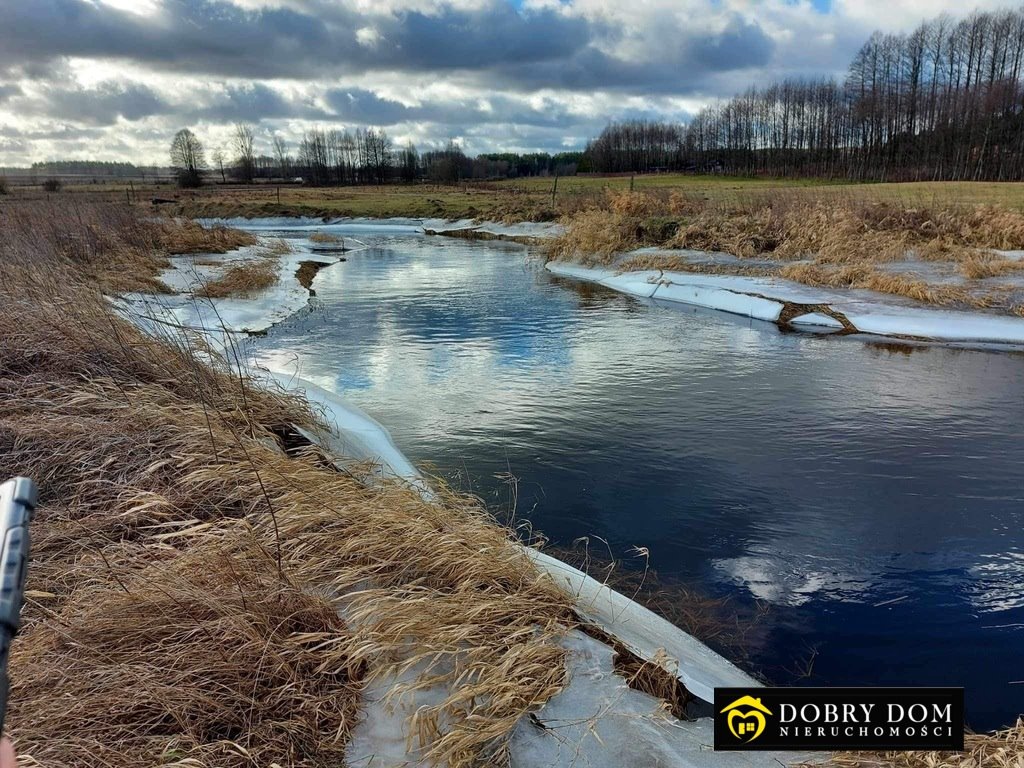 Działka rolna na sprzedaż Podzałuki  4 900m2 Foto 3