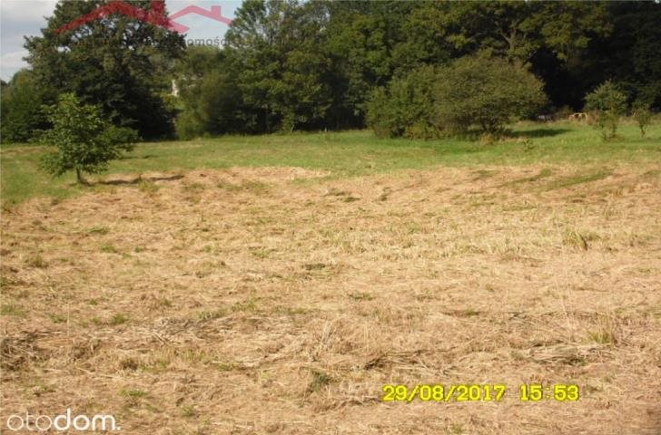 Działka 4,6 ha z zabudową zagrodową, dogodny dojazd Krościenko Wyżne  4 600m2 Foto 1