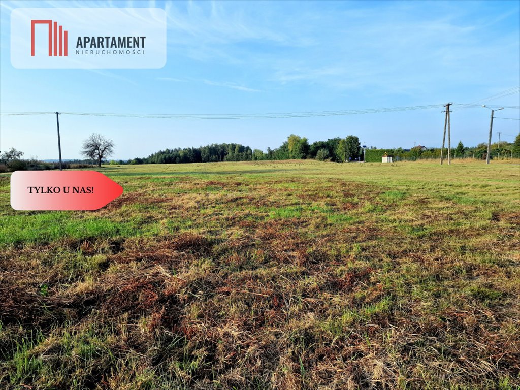 Działka budowlana na sprzedaż Czarże  1 000m2 Foto 12