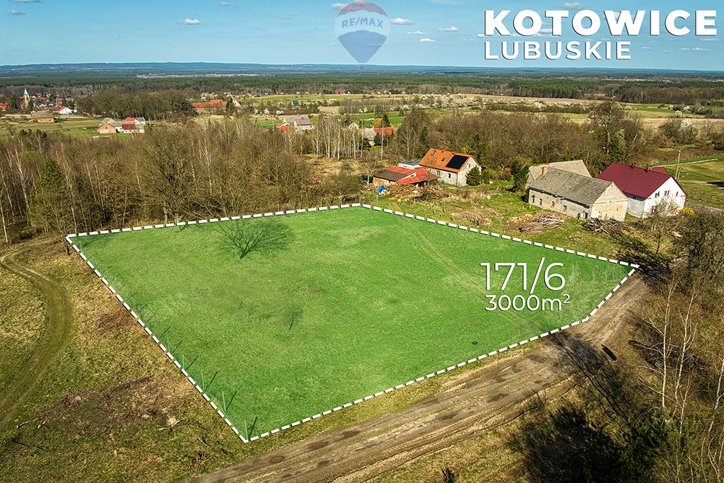 Działka budowlana na sprzedaż Kotowice, Zielonogórska  3 000m2 Foto 1