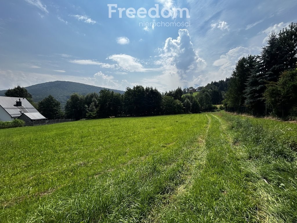 Działka budowlana na sprzedaż Targanice, Olchowa  3 200m2 Foto 7