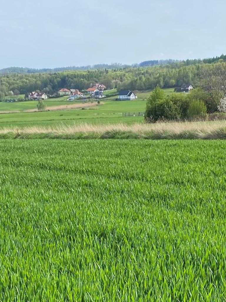 Działka budowlana na sprzedaż Lutomia Górna, Lutomia Górna  751m2 Foto 3