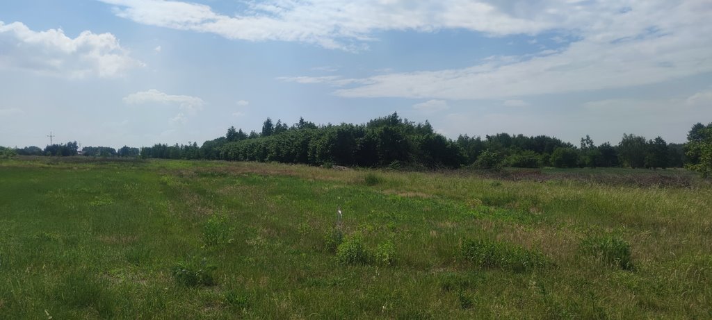 Działka budowlana na sprzedaż Borzęcin Mały  1 000m2 Foto 3