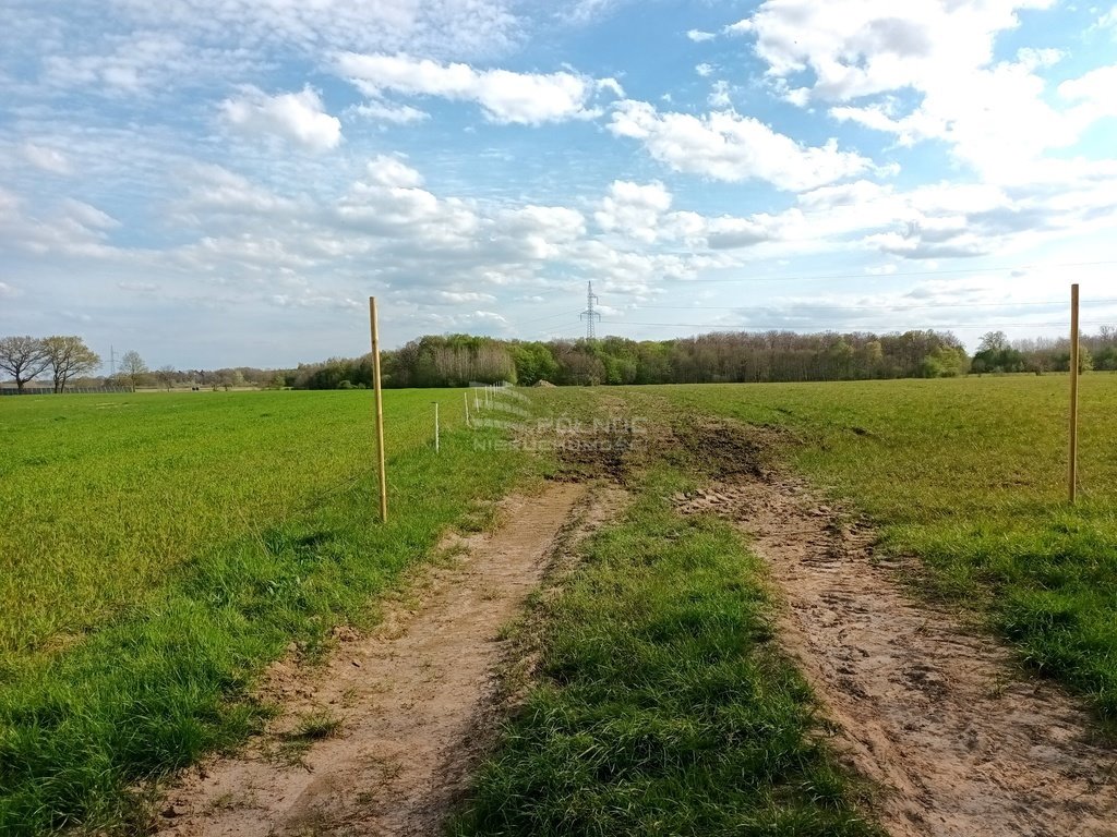 Działka siedliskowa na sprzedaż Wodnica  3 000m2 Foto 4