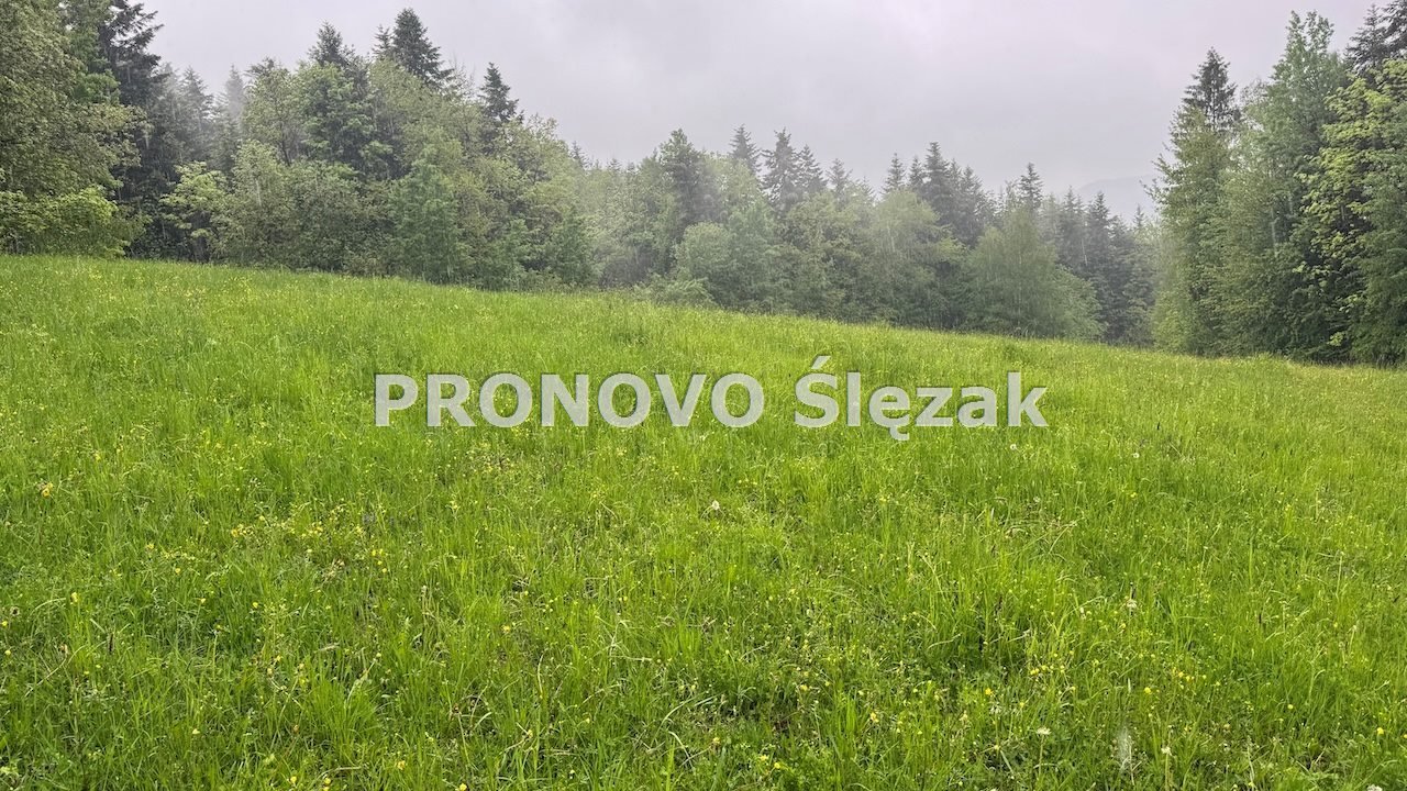 Działka 83 arów z widokami i lasem, asfalt, spokój Grybów, Krużlowa Wyżna  8 300m2 Foto 1