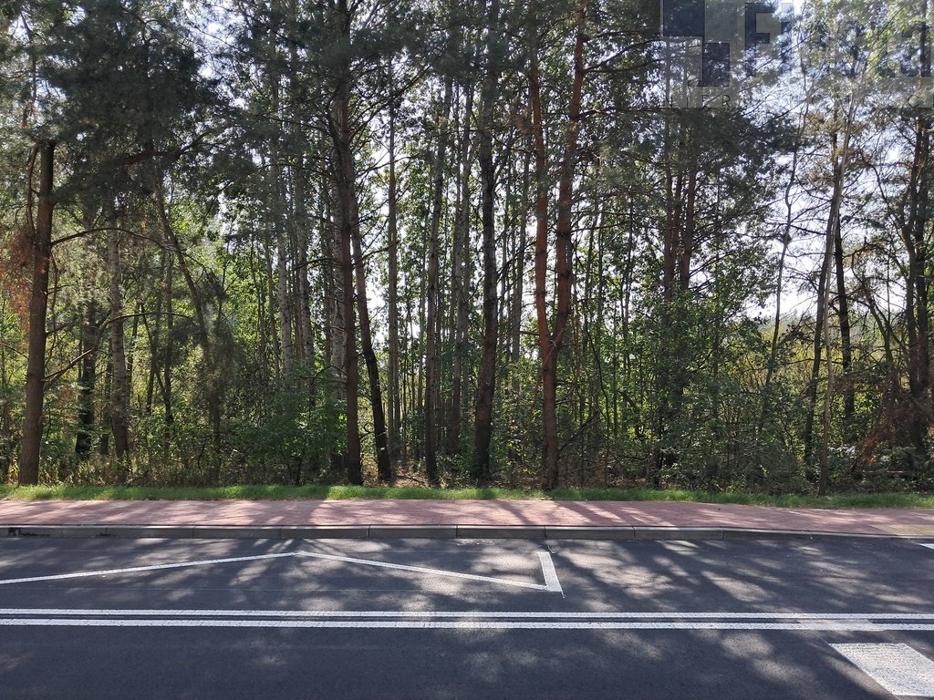 Działka budowlana na sprzedaż Serock  3 000m2 Foto 13