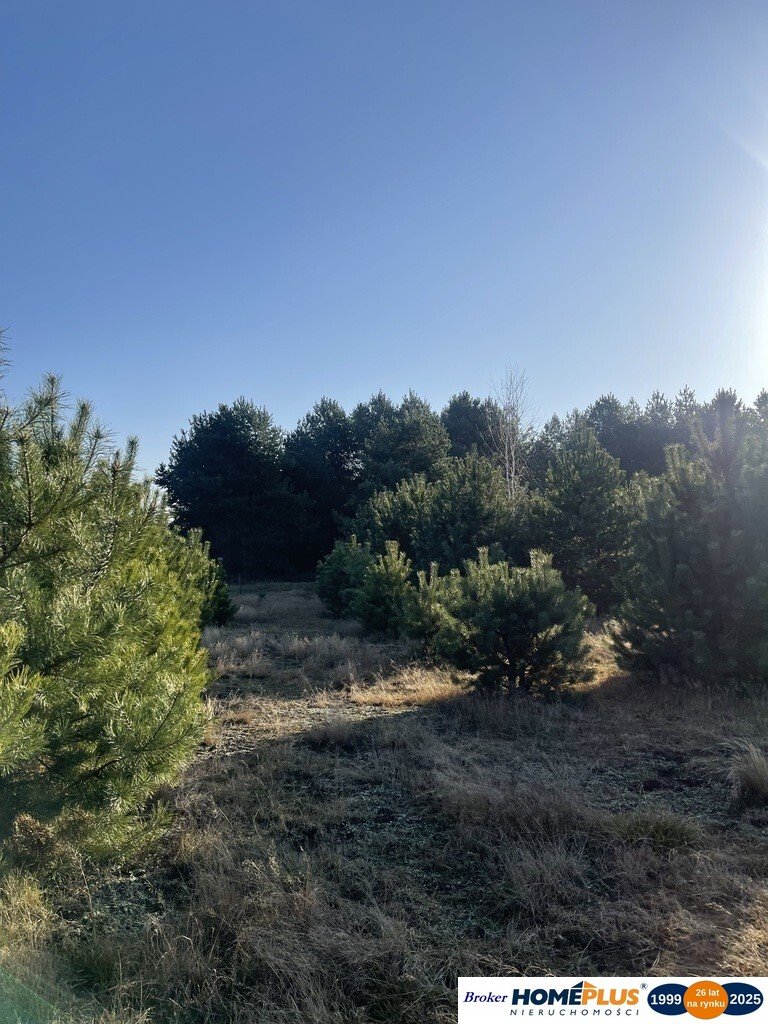 Działka budowlana na sprzedaż Ruda  1 567m2 Foto 1
