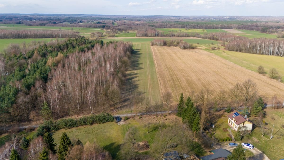 Działka rekreacyjna na sprzedaż Woźniki, Czarny Las, Czarny Las  14 911m2 Foto 9