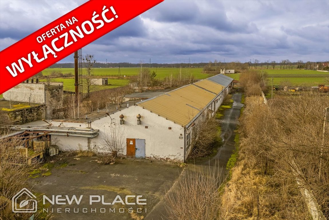 Na sprzedaż działka z halą 1925 m² w Jankowicach Wielkich Jankowice Wielkie  2 052m2 Foto 1