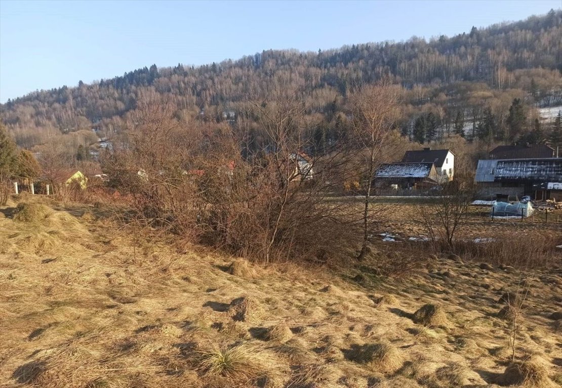 Działka budowlana na sprzedaż Kamesznica  979m2 Foto 8