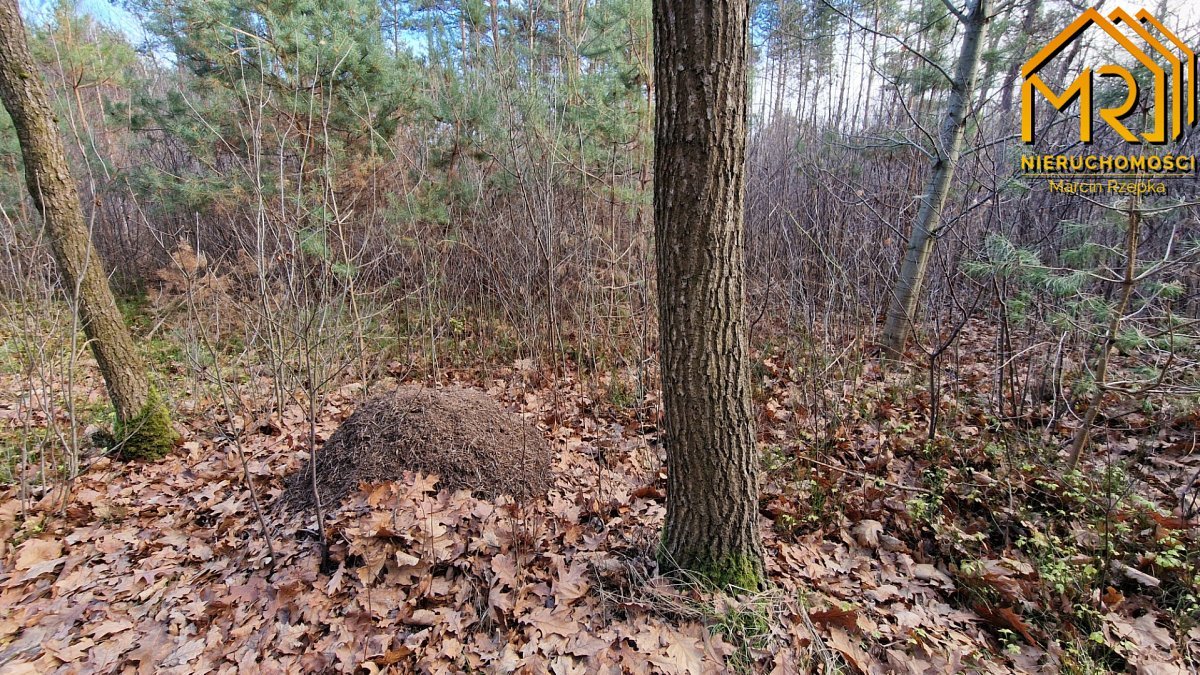 Działka rolna na sprzedaż Stare Żukowice  2 200m2 Foto 12