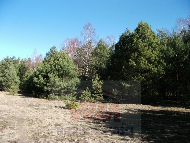 Działki budowlane w Koceranach pod Grójcem – inwestycja i wypoczynek Grójec  23 532m2 Foto 1