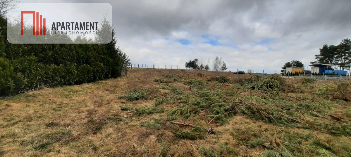 Działka budowlana na sprzedaż Dąbrówka Nowa  2 120m2 Foto 2