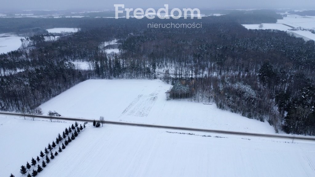 Działka budowlana na sprzedaż Grębków  5 700m2 Foto 7