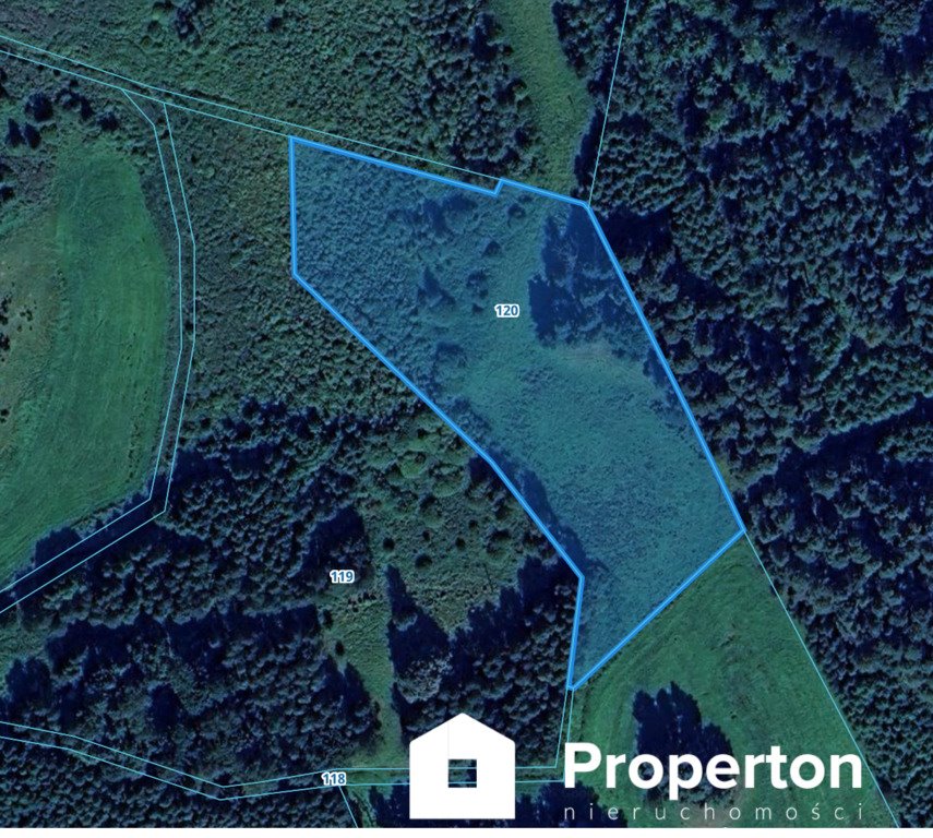 Działka rolna 14 212 m2 w Elganowie – spokój i widoki Elganowo  14 212m2 Foto 1