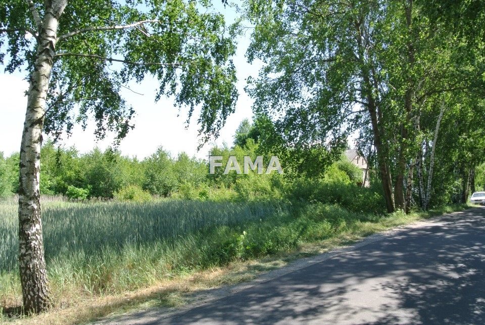 Dwie działki 3730 m² pod zabudowę, blisko Włocławka Chełmica Mała  3 730m2 Foto 1