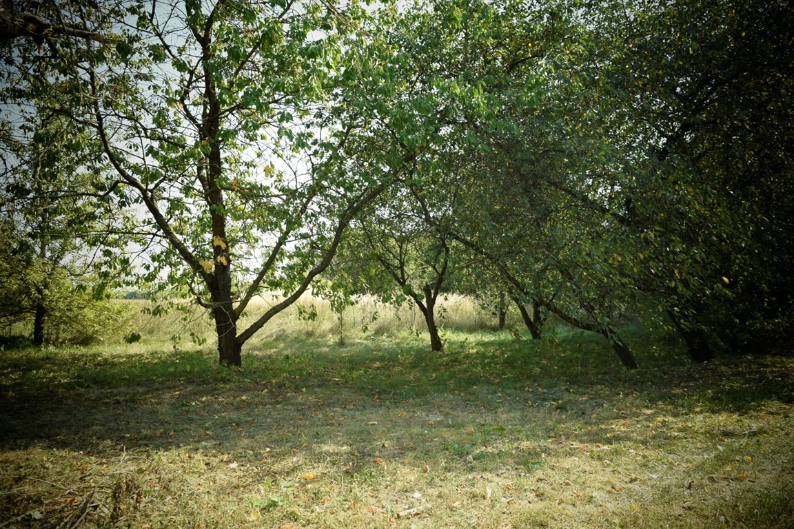 Działka rolna na sprzedaż Wierzbówiec  3 400m2 Foto 3