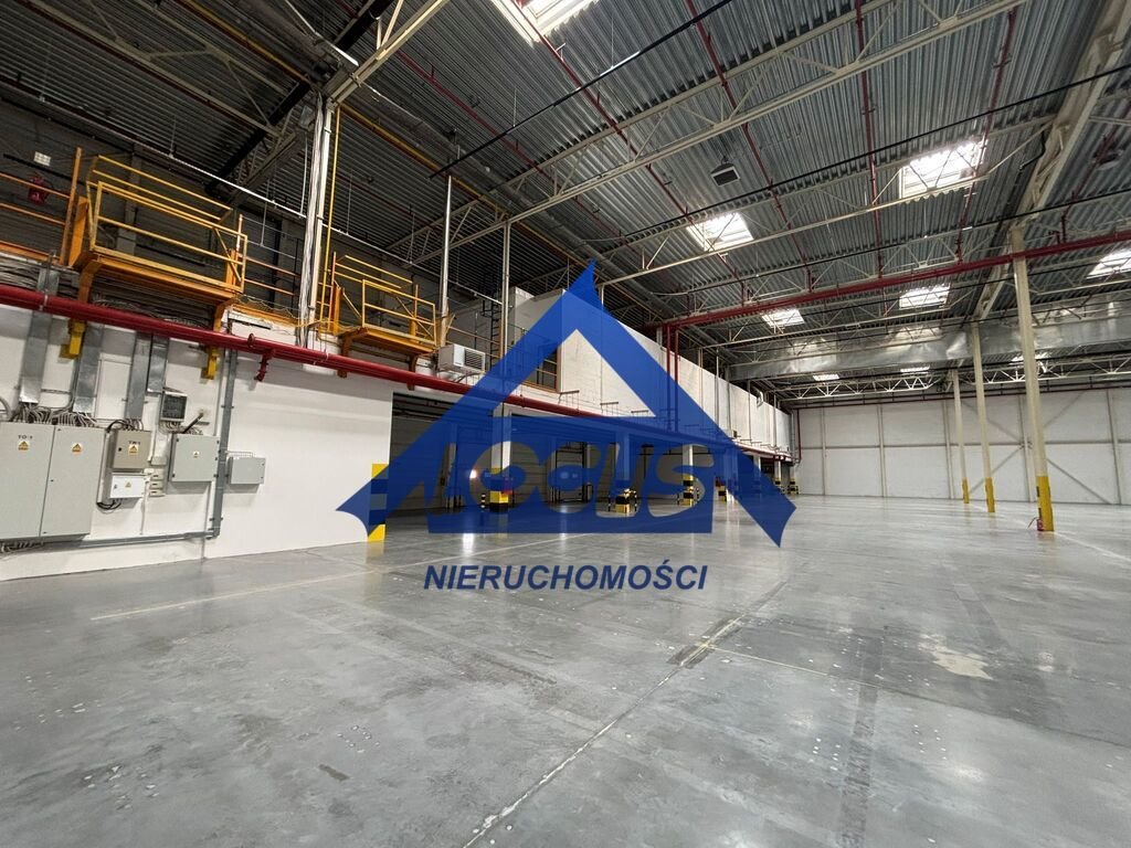 Na wynajem nowoczesny magazyn 5755 m² z biurem w Piasecznie: Piaseczno