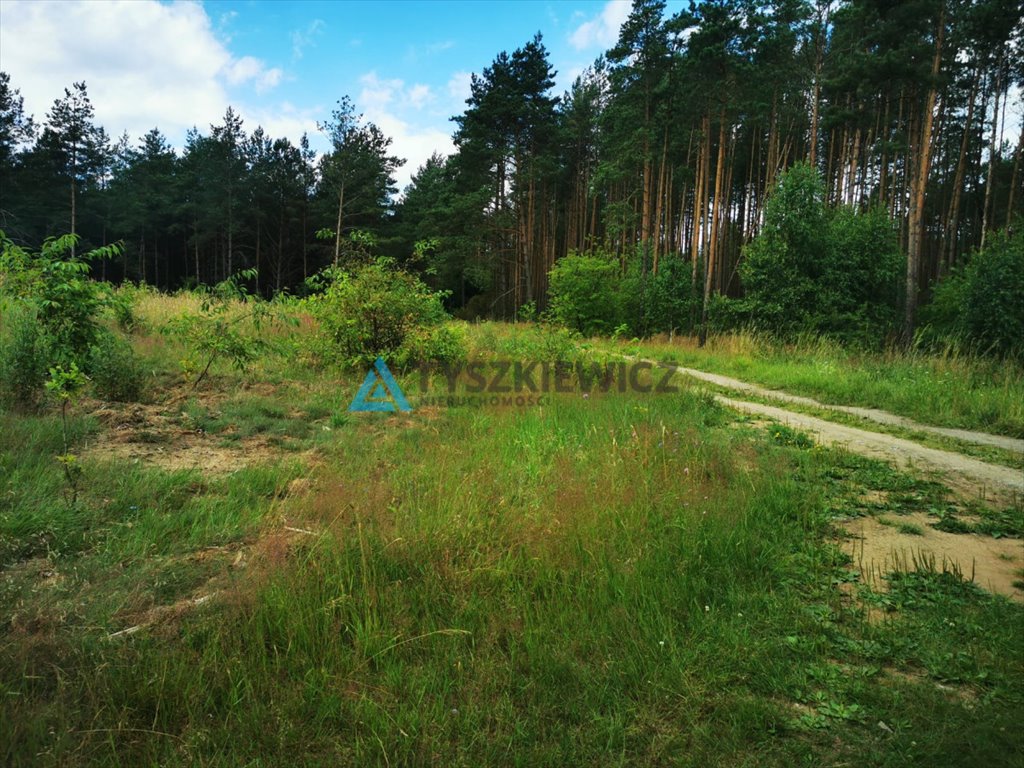 Działka przemysłowo-handlowa na sprzedaż Wygonin  1 998m2 Foto 7